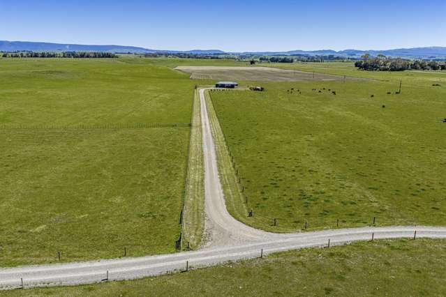 343B Kereru Road Maraekakaho_3