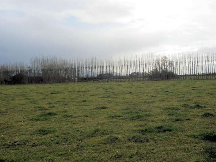 Templer Street Geraldine_7