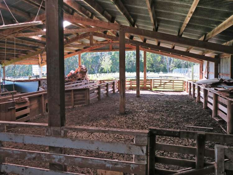 2350 Tahakopa Valley Road Catlins Surrounds_15