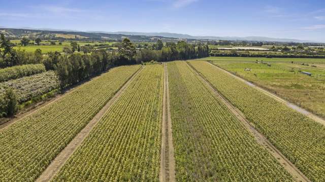 444 Paton Road Hope_2