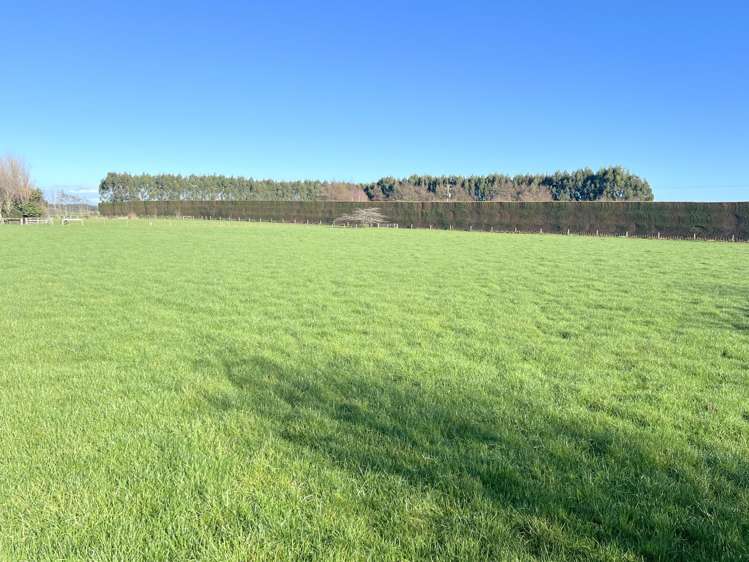 432a Lorne Dacre Road Roslyn Bush_36