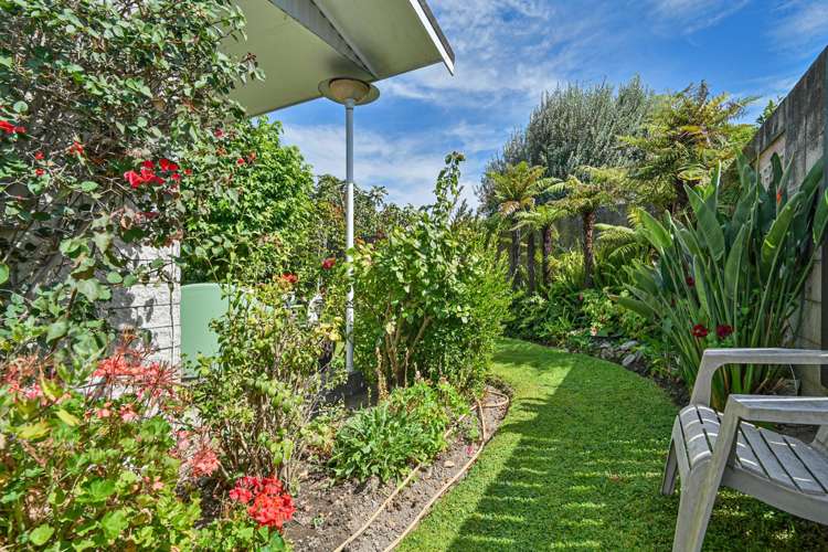 1/804A Alexandra Street Parkvale_5