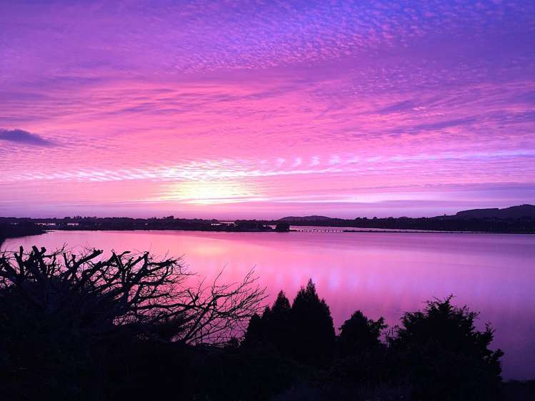 49 Baycroft Avenue Parkvale_41