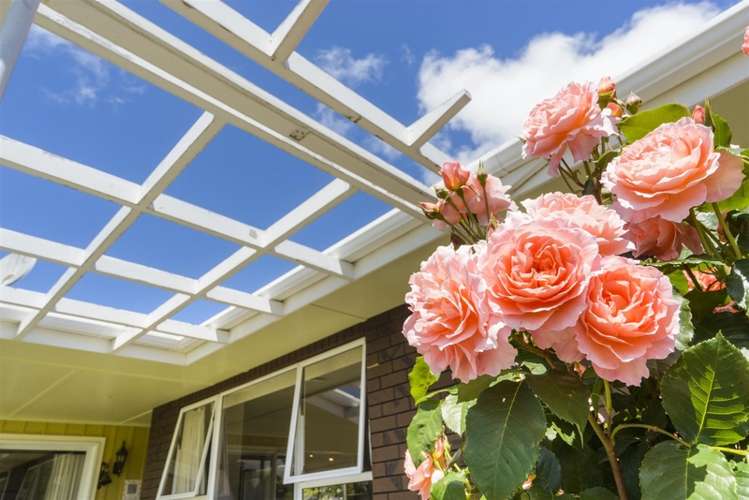 4 Bredins Line Marton_21