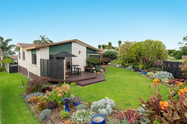 62 Heron Avenue East Matua_2