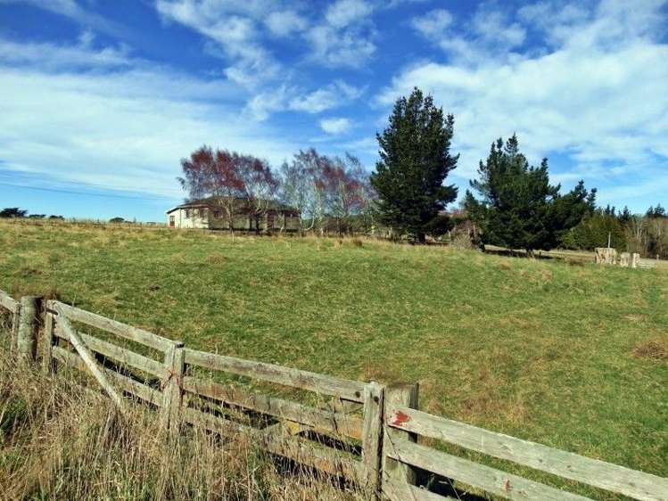 Koi Flat Road Clutha_0