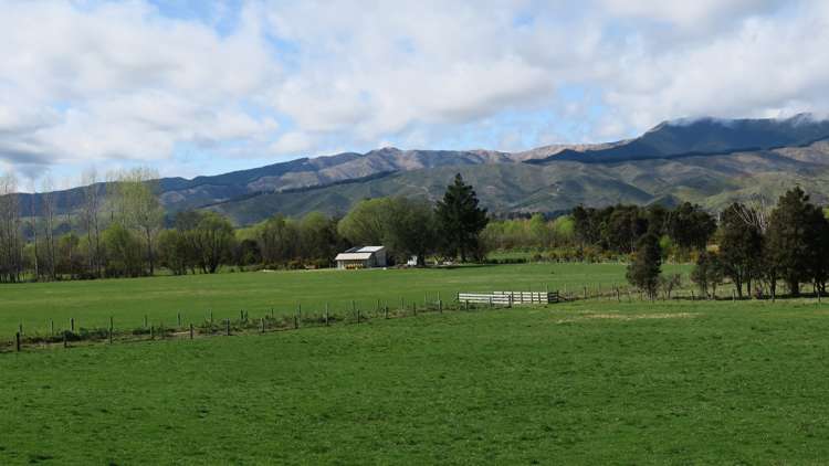 3957 Northbank Road Wairau Valley_40