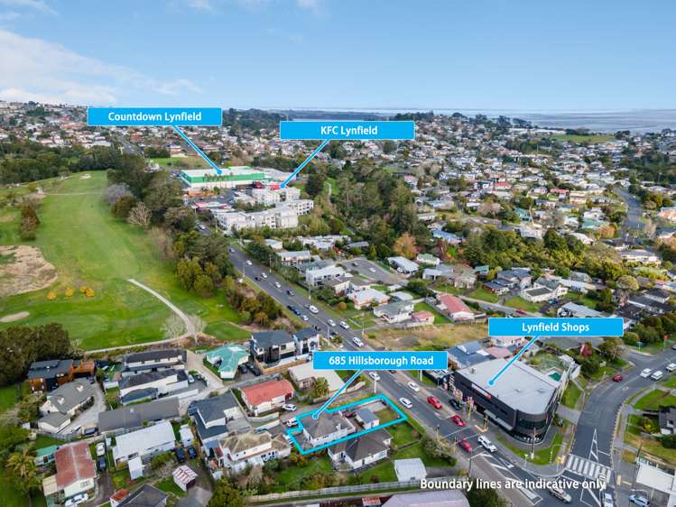 685 Hillsborough Road Mount Roskill_11