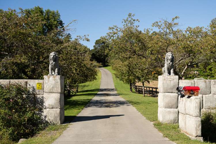 143 Valley Road Mangapapa_23