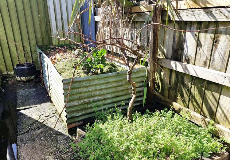 67 Bright Street Cobden_25