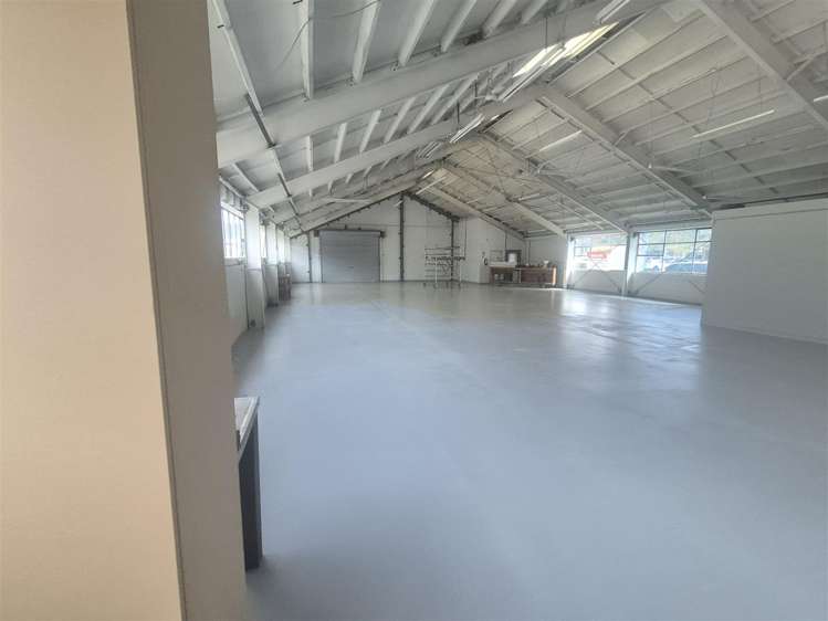 110 Orbell Street Sydenham_2