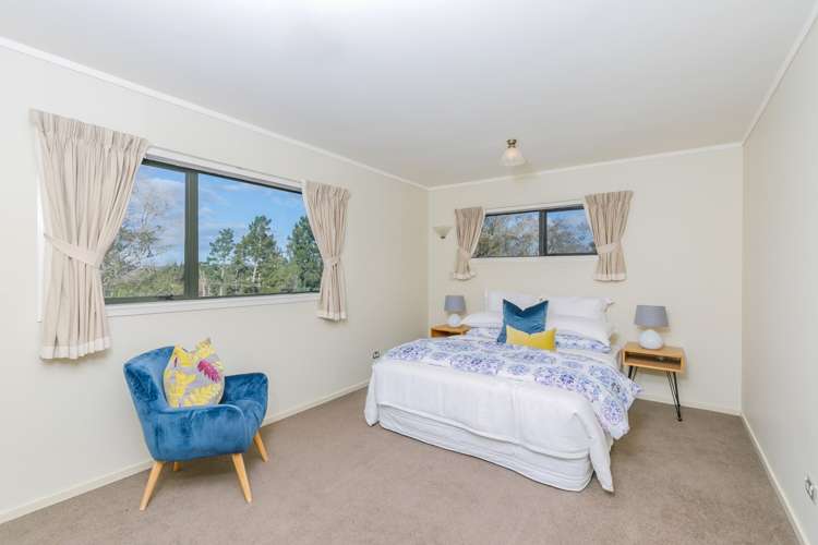 99 Postman Road Dairy Flat_24