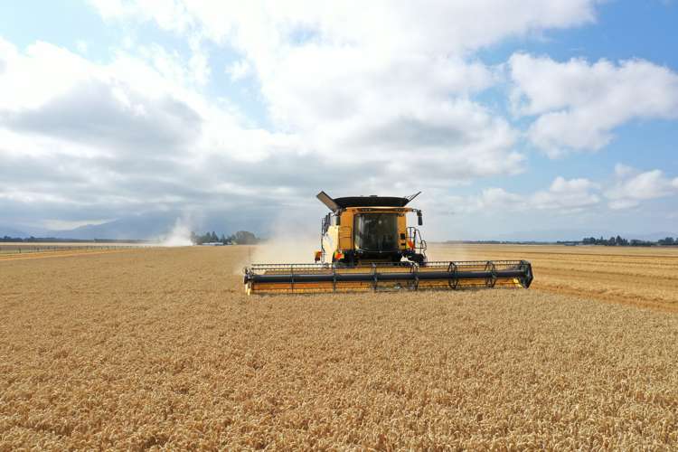 337 Reynolds Road Methven_8