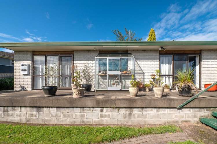 17B Peachgrove Terrace Hillcrest_14