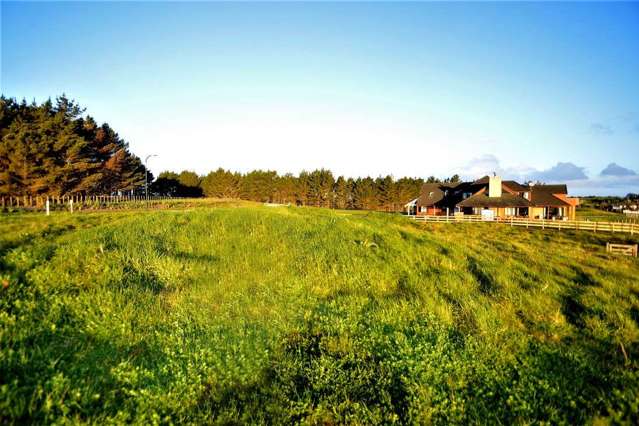 31 Kitenga Road Flat Bush_3