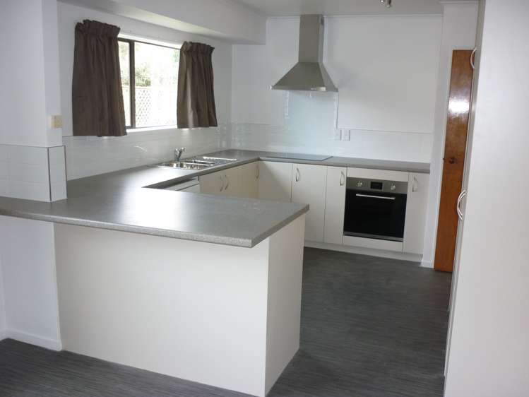 17 Palomino Drive Henderson_0