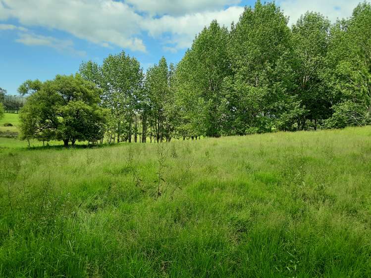 Oneriri Road Kaiwaka Kaipara Houses for Sale One Roof