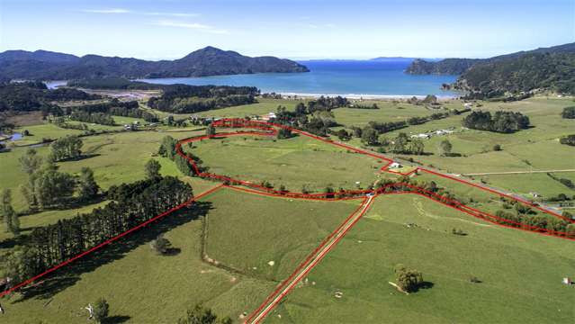 1231 Kennedy Bay Road Coromandel_2