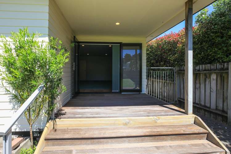 208 Baillie Street Thames_1