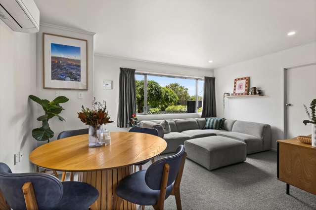 56 Rochester Street Tamatea_4