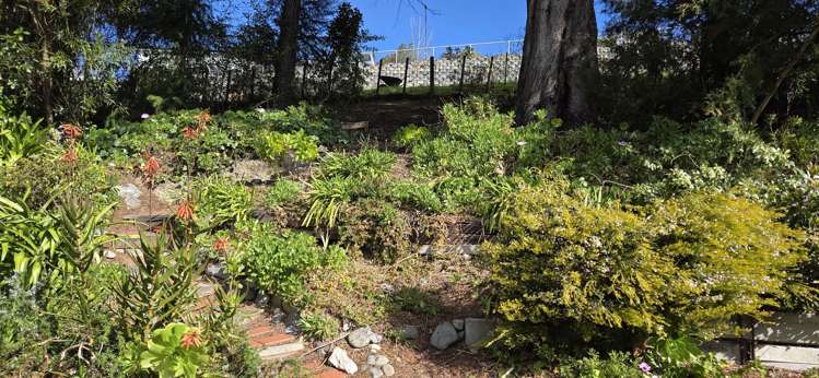 14 Bridgewater Lane Stoke_18