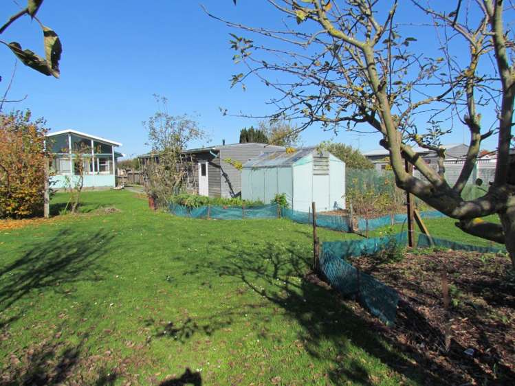 114 George Street Tinwald_16