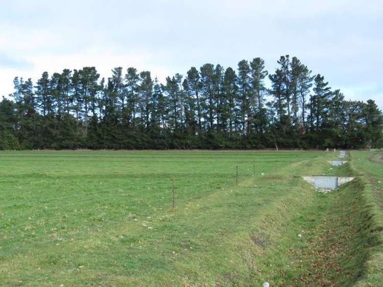 293 Hackthorne Road Carew_16