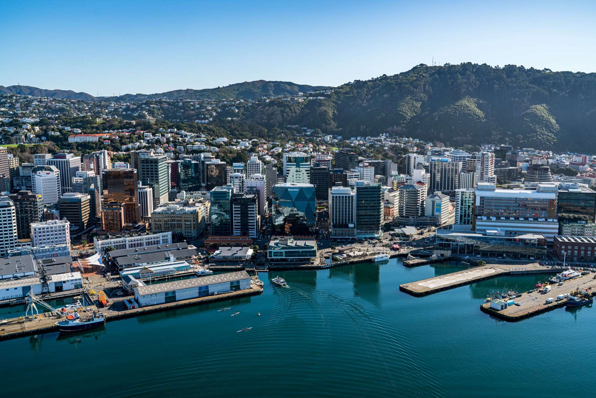 Wellington office space experiencing huge demand