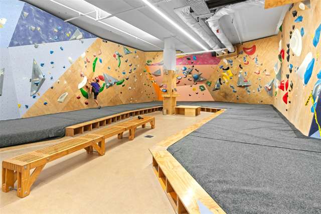 237 Willis Street Te Aro_4