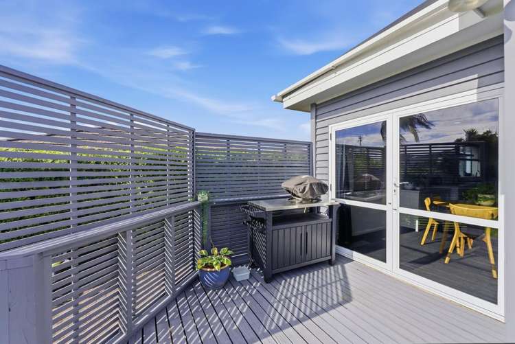 327 Carrington Street Vogeltown_10