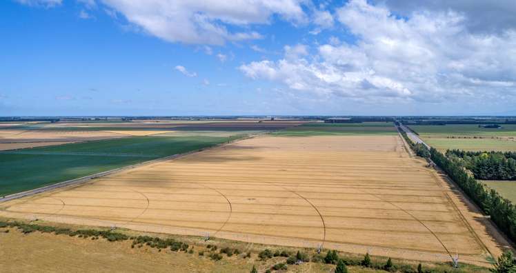 193 Coplands Road Chertsey_5