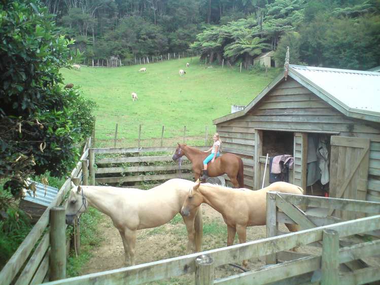 185 Kaimarama Road Kaimarama_24