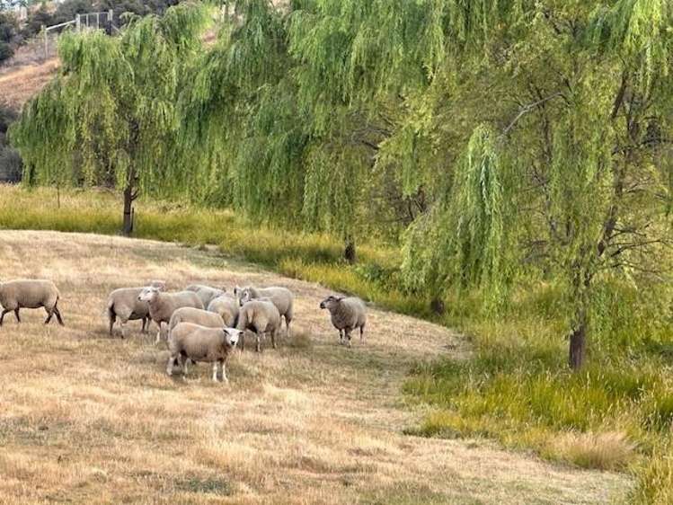 55 Totara Place, Queensberry Wanaka_28