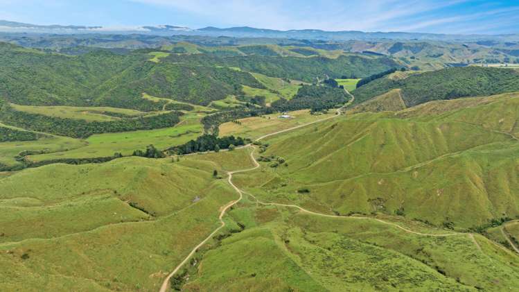 1068 Hinemoa Valley Road Pahiatua_13