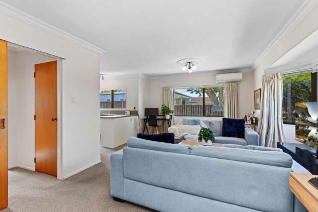 493c Devonport Road Tauranga South_3