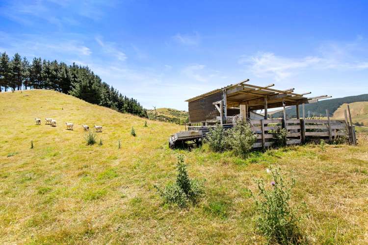 40 Bing Lucas Drive Tawa_24