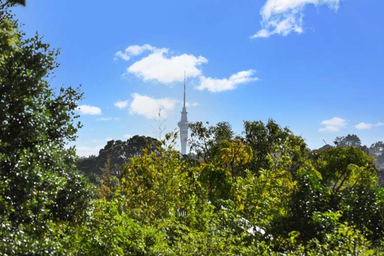 49 Shackleton Road Mount Eden_3