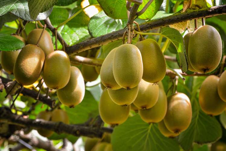 104 College Road Hexton_1