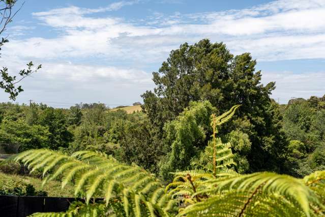 17b Snowden Street Ohauiti_2