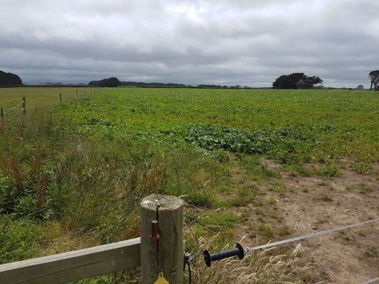 349 Ihaia Road Opunake_13