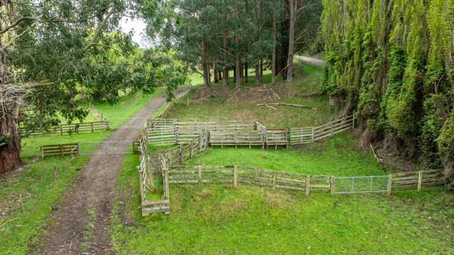 1241 Blythe Road Domett_4