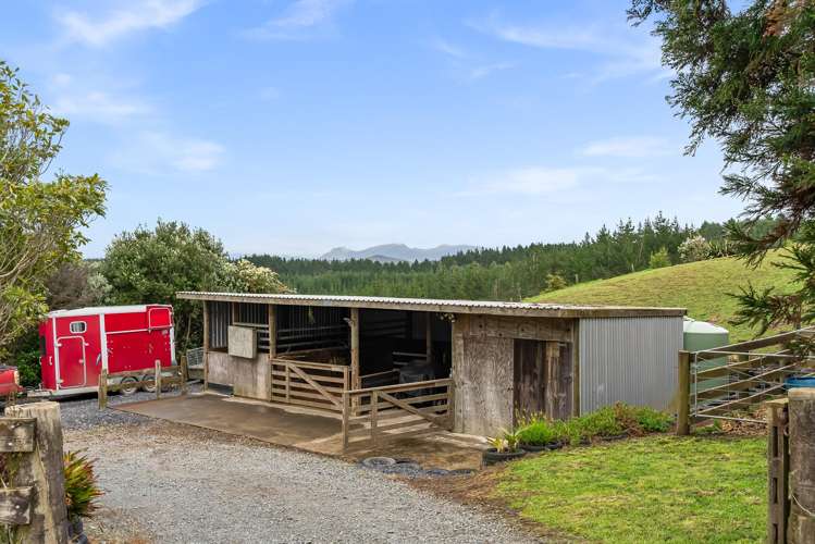 214 Milne Road Ruatangata_13
