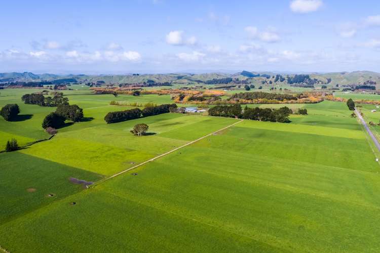 108 Pukewhai Road Pahiatua_13