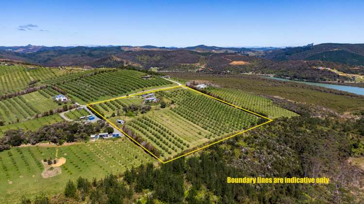 125b Frantoio Ridge Road Mangonui_5