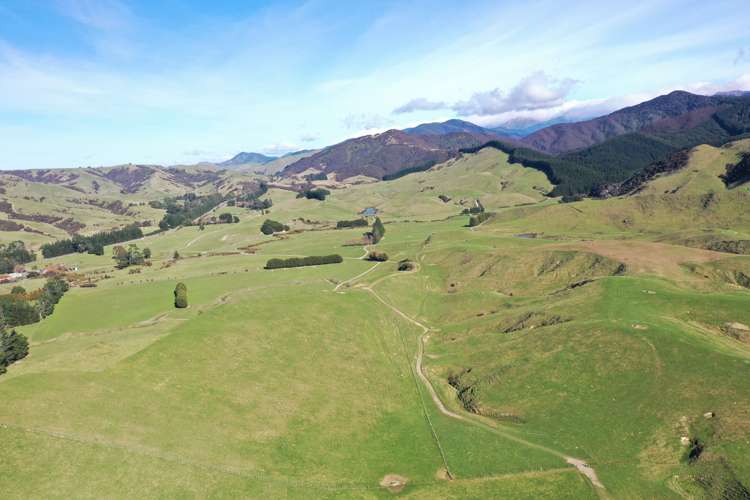 85289 State Highway 2 Eketahuna_16