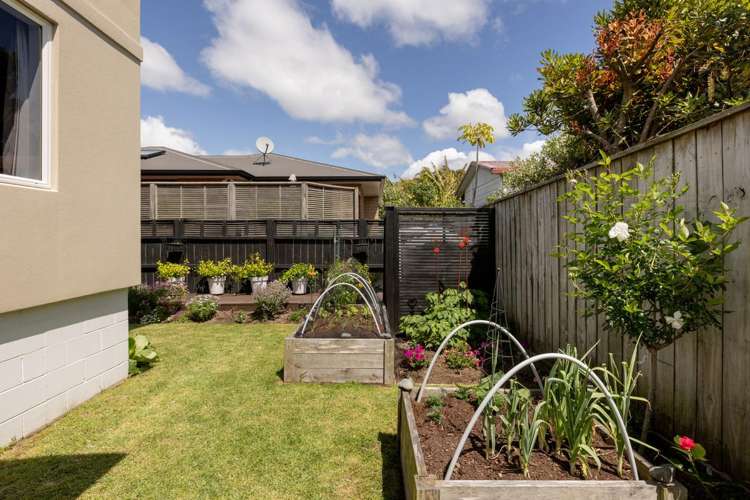 13B Beach Street Whakatane_21