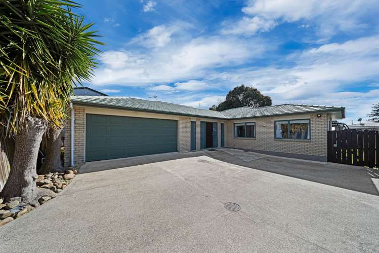 102A Tui Road_0