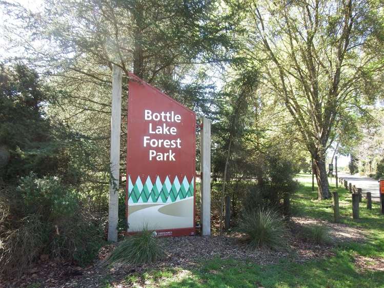 18 Alpine View Lane Parklands_19