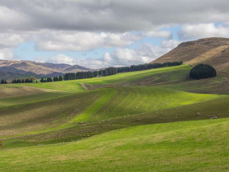 94 Weka Pass Road Waipara_21