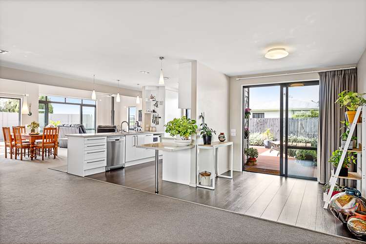 115 Old Renwick Road Springlands_7